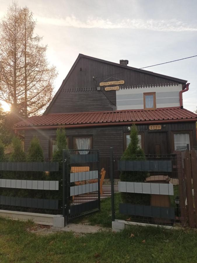 Domek W Gorach Wioletta Rycerka Gorna 外观 照片