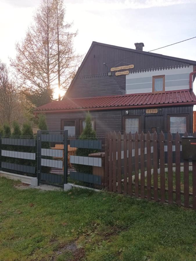 Domek W Gorach Wioletta Rycerka Gorna 外观 照片